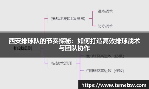 易游体育
