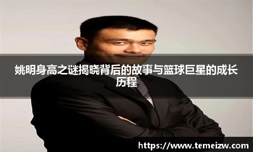 yy易游