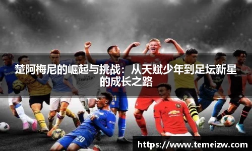 yy易游