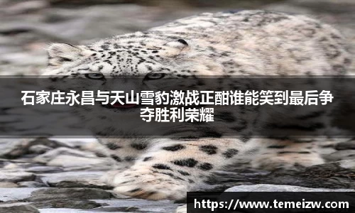 yy易游