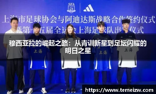 yy易游