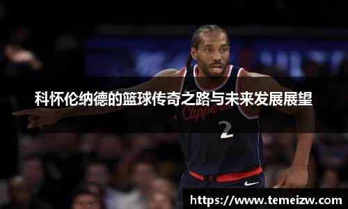 yy易游