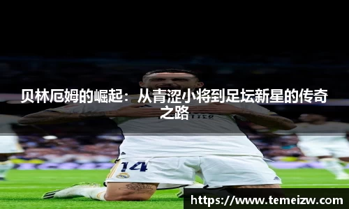 米乐yy体育